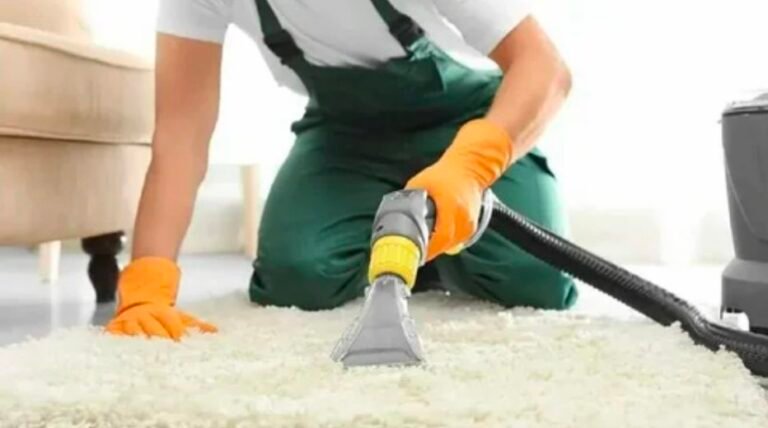 Carpet Cleaning Services That Remove Deep Stains, Odors, and Allergens 2 Carpet