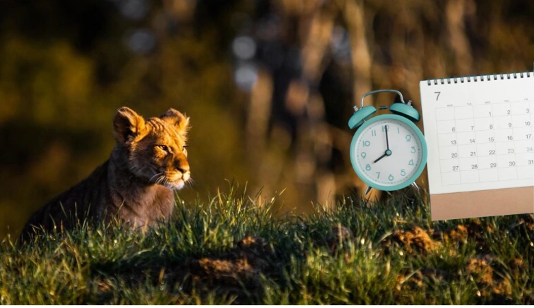 devaliya park timing