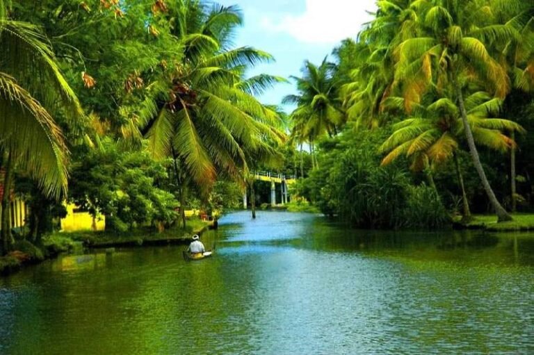 Kerala Holiday Packages: Explore God’s Own Country in Style